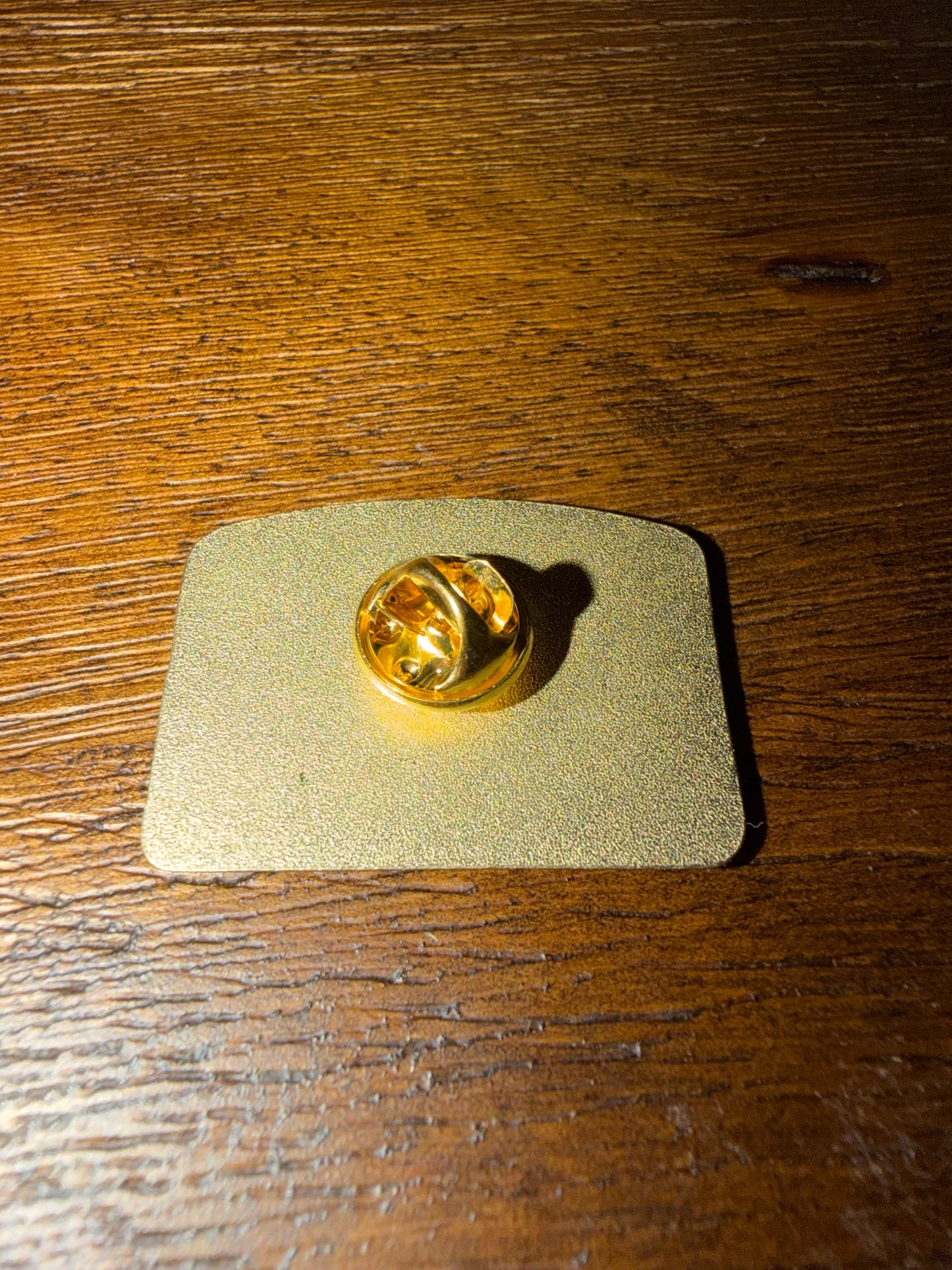 Fish Around and Find Trout Pins